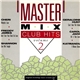 Various - Master Mix Club Hits Vol. 2