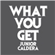 Junior Caldera Feat. Billy Bryan - What You Get